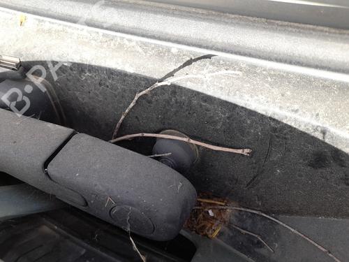 Viskermotor bakrute RENAULT SCÉNIC I MPV (JA0/1_, FA0_) 1.9 dCi RX4 (102 hp) 31114841