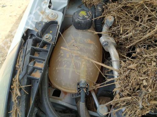 Used Expansion tank RENAULT CLIO V (B7_) 1.5 Blue dCi 85 (B7AG) (86 hp) 26984793