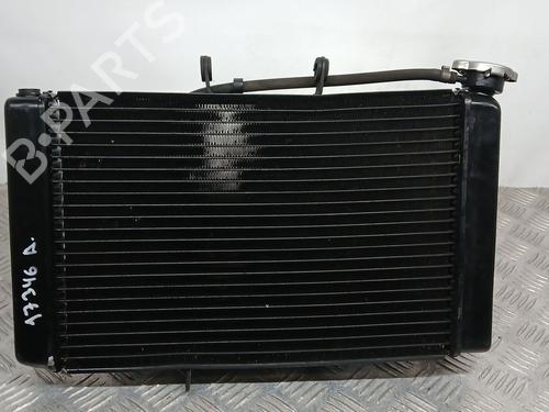Water radiator TRIUMPH MOTORCYCLES TIGER ( -999cc) Tiger 800 XC (A08) | BP31762368M31 
