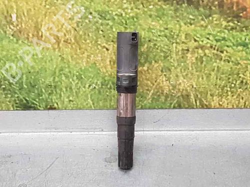 Bobine D'allumage RENAULT SCÉNIC II (JM0/1_) [2003-2010]  12498996