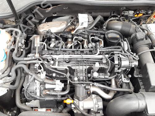 Used Engine Engine VW GOLF VI (5K1) 1.6 TDI (105 hp) 36302938 36302938