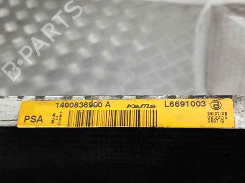 AC radiator LANCIA PHEDRA (179_)  | BP20706296M32 