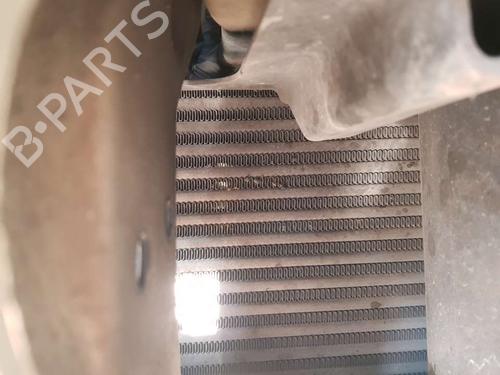 Used Intercooler FIAT BRAVA (182_) [1995-2003]  19699453