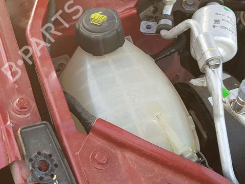 Expansion tank DACIA SANDERO III 1.0 TCe 90 (91 hp) 16735753