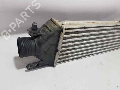 Intercooler FIAT DOBLO Cargo (263_)  | BP7263243M30 