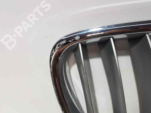 Grille BMW X1 (E84) sDrive 18 d | BP8137015C40