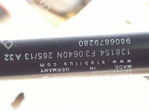 tailgate-lift-support-citroen-c4-grand-picasso-ii-da_-de_-2013-34447985 main image