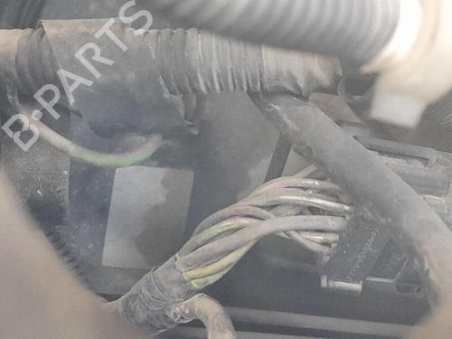 Used Servo brake FORD FOCUS I (DAW, DBW) 1.8 Turbo DI / TDDi (90 hp) 29527948