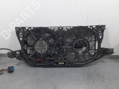 Køleventilator elektrisk MERCEDES-BENZ VITO / MIXTO Van (W639) 110 CDI (639.601, 639.603, 639.605) (95 hp) 31013118