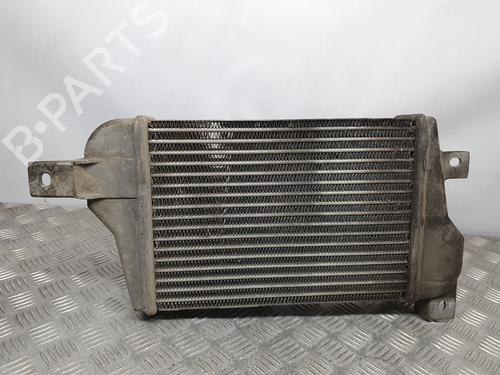 Intercooler TATA SAFARI (42_FD)  | BP12565200M30 