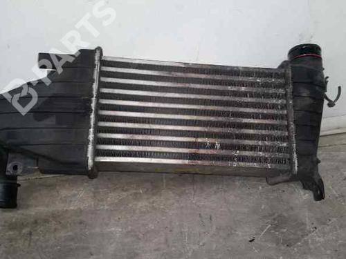 Intercooler OPEL ASTRA H (A04)  | BP174895M30 