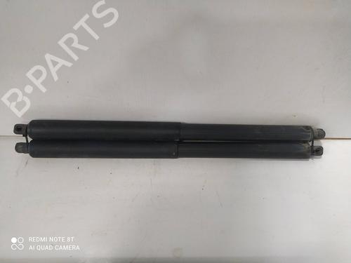 Gassdemper Bakluke BMW X5 (E70) 3.0 d (235 hp) 15808044