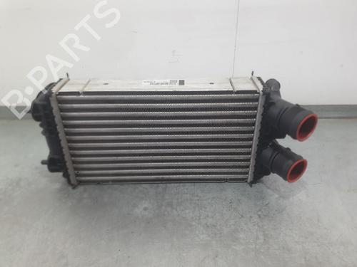 Used Intercooler Intercooler PEUGEOT 2008 II (UD_, US_, UY_, UJ_, UR_, UC_) 1.2 PureTech 130 (USHNS, URHNS) (130 hp) 39559644 39559644