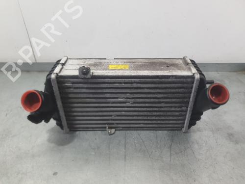 Intercooler Intercooler 38173984 38173984