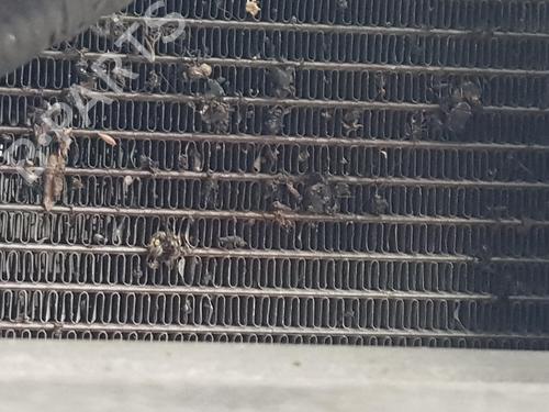 water-radiator-toyota-c-hr-_x1_-2016-11217172 main image
