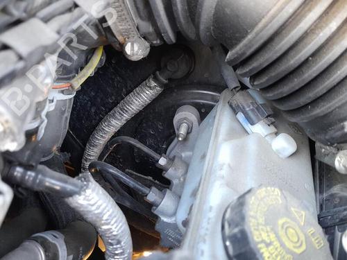 Used Servo brake NISSAN NV250 Van (X61) dCi 80 (80 hp) 29812030