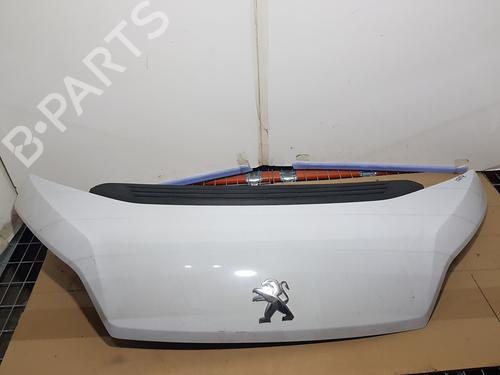 Motorhjelm PEUGEOT BOXER Bus [2005-2026]  31067158