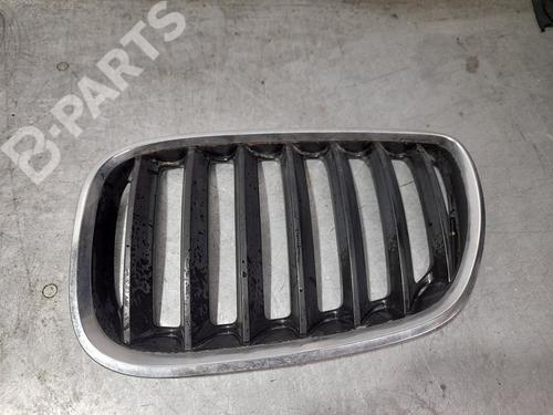 front-grille-bmw-x5-e53-30-d-2000-2001-2002-2003-2004-2005-2006-10037833 main image