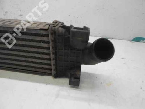 Intercooler FORD FOCUS II (DA_, HCP, DP)  | BP602191M30 