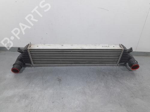Intercooler FIAT TIPO Hatchback (356_, 357_) 1.3 D (356HXH1A) (95 hp) 32439686