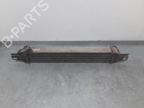 Intercooler CITROËN NEMO MPV 1.4 HDi | BP30108031M30