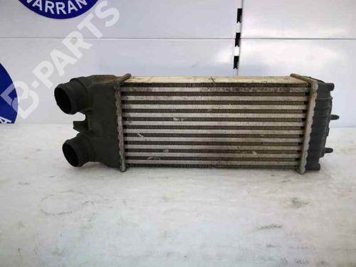 Intercooler CITROËN XSARA PICASSO (N68) 1.6 HDi | BP1229019M30 