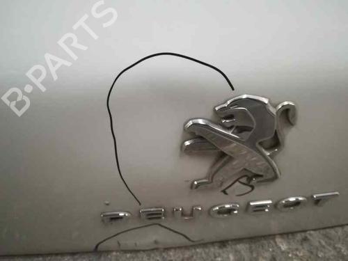 Tailgate PEUGEOT 3008 I MPV (0U_)  | BP5091138C6 