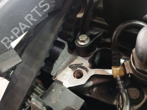 Engine RENAULT MEGANE II (BM0/1_, CM0/1_)  | BP19687418M1 