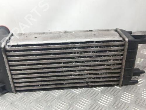 Intercooler CITROËN C5 III (RD_)  | BP29354433M30 