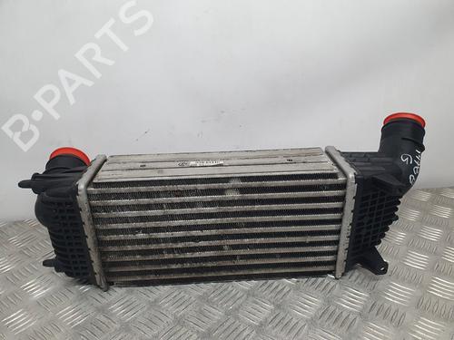 Intercooler CITROËN C5 III (RD_)  | BP13496935M30 