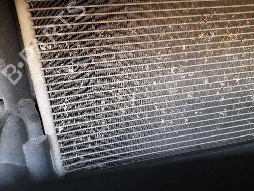 AC Kondensor RENAULT KANGOO / GRAND KANGOO II (KW0/1_) 1.5 dCi 90 (KW05, KW08, KW0G, KW11) (90 hp) 29889617