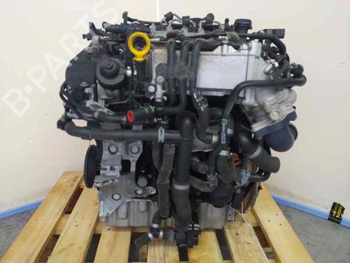 Engine VW CADDY IV MPV (SAB, SAJ)  | BP19651207M1 