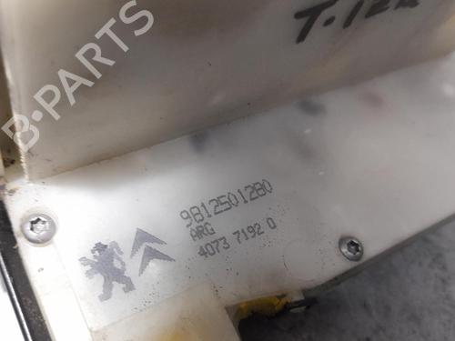 Rear left lock PEUGEOT 2008 I (CU_)  | BP12566682C100