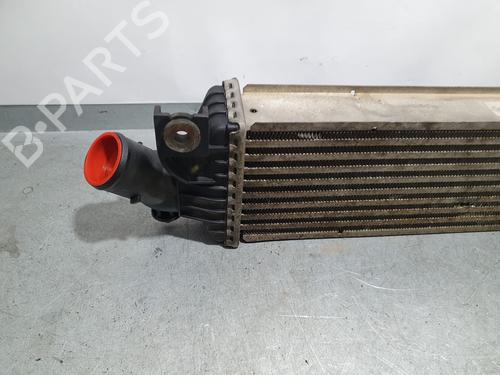 Intercooler NISSAN PRIMERA Hatchback (P12)  | BP4557885M30 