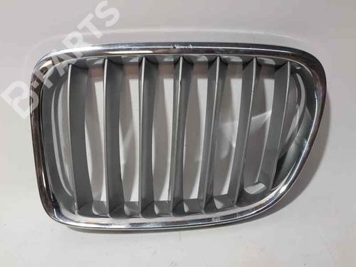 Used Grille BMW X1 (E84) sDrive 18 d (143 hp) 8137147