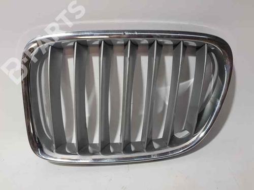 Calandra anteriore BMW X1 (E84) sDrive 18 d (143 hp) IZQUIERDA |