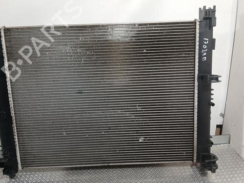 Water radiator DACIA SANDERO II TCe 90 LPG (B8M1) | BP28162329M31 - Image 4