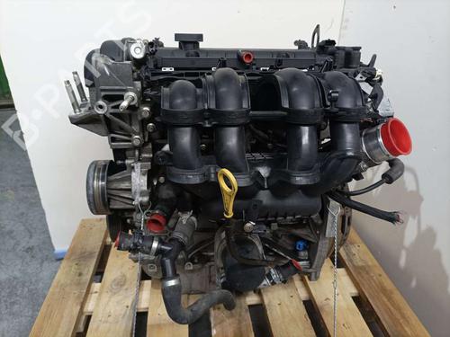 Engine FORD FOCUS III  | BP10171017M1 