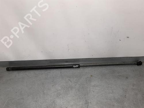 Used Hood lift support VW GOLF V (1K1) [2003-2010]  14014153