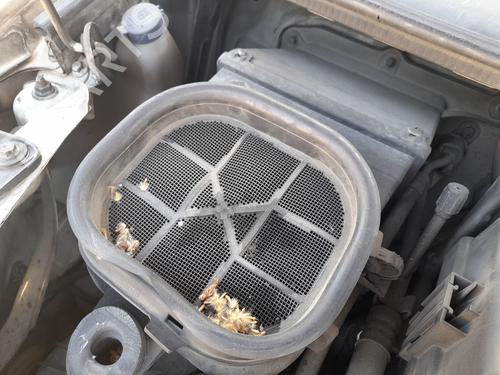 Used Air filter box IVECO DAILY IV Van 35C12 V, 35C12 V/P, 35S12 V, 35S12 V/P (116 hp) 26958608