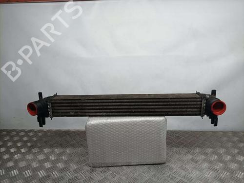 Used Intercooler SKODA FABIA II (542) [2006-2014]  16215106