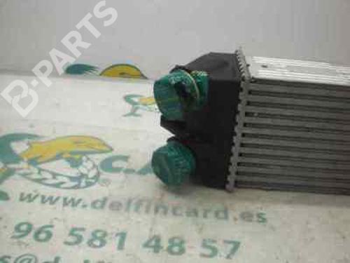 Intercooler CITROËN XSARA PICASSO (N68)  | BP123883M30 