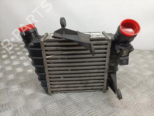 Intercooler VW POLO (9N_, 9A_)  | BP13486534M30 