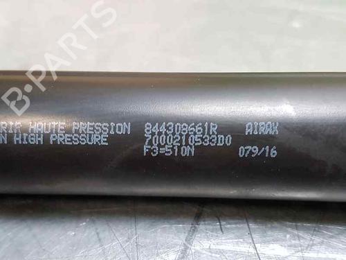 Tailgate lift support RENAULT CLIO IV (BH_)  | BP14011069C138 