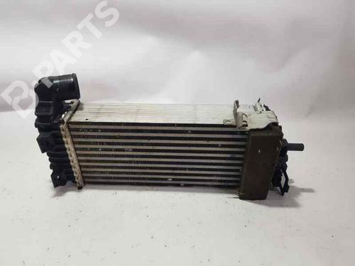 Used Intercooler FORD TOURNEO CONNECT [2002-2013]  8251287