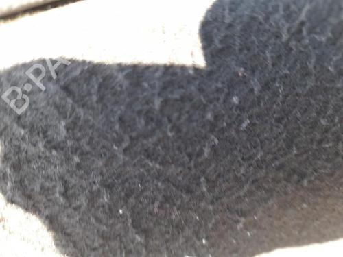 Lève-vitre avant gauche OPEL CORSA C (X01) 1.3 CDTI (F08, F68) | BP28318230C22