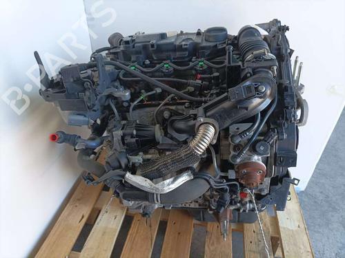 Engine FORD FIESTA VI (CB1, CCN)  | BP7629920M1 