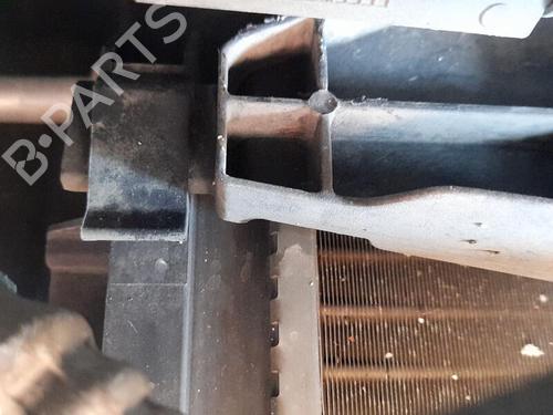 Used Water radiator RENAULT MEGANE II (BM0/1_, CM0/1_) 1.6 16V (BM0C, CM0C) (113 hp) 30181780