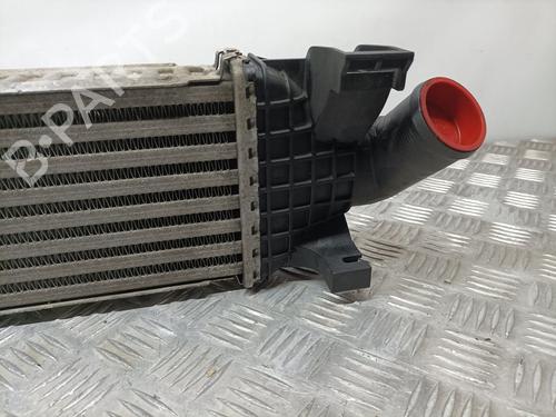 Intercooler FORD FOCUS II (DA_, HCP, DP)  | BP12525080M30 