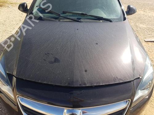 Used Hood OPEL INSIGNIA A Sports Tourer (G09) 1.6 CDTi (35) (136 hp) 29307818